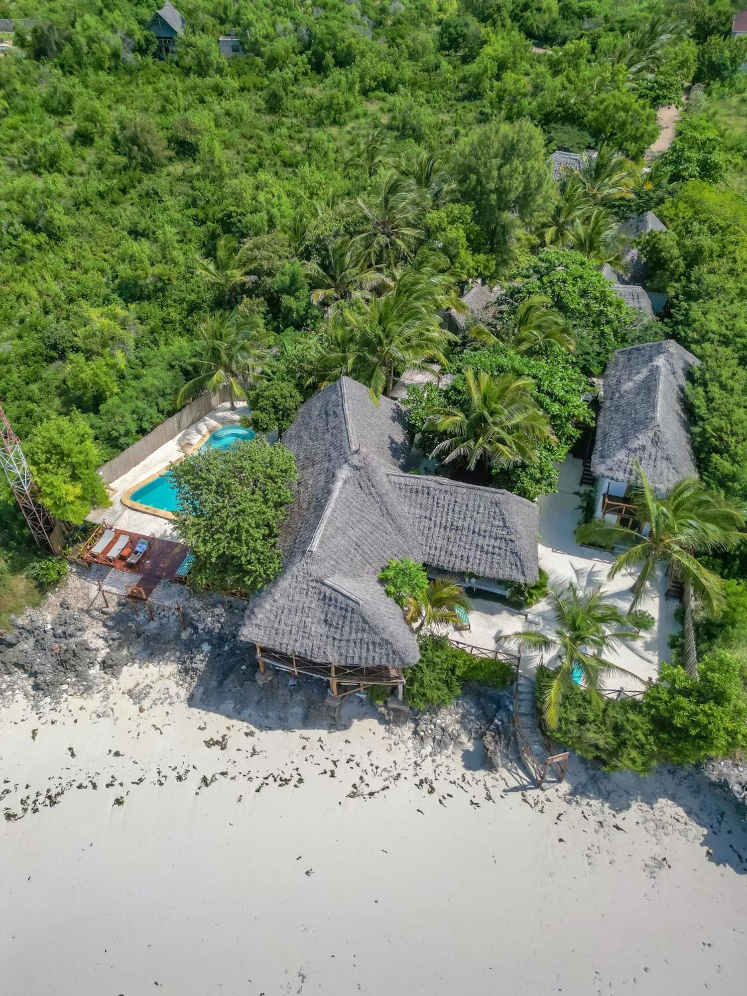 Natural Garden Boutique Hotel Jambiani  Εξωτερικό φωτογραφία